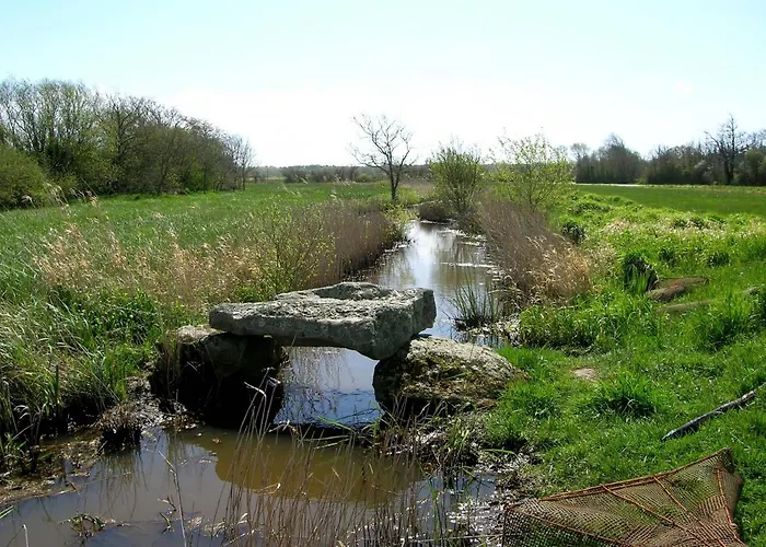 Face Et Aux Pins * سانت-بريفين-لي-بان