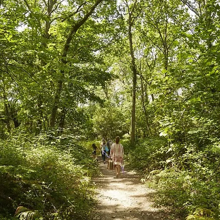 Face Et Aux Pins Apartmán