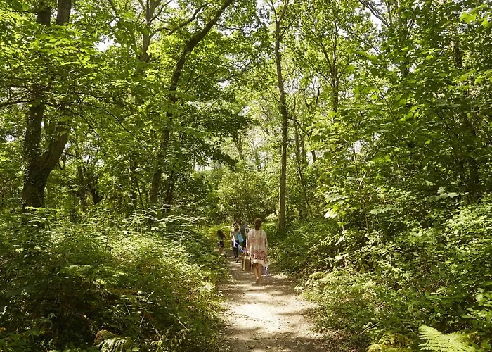 Face Et Aux Pins 아파트